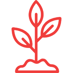 Accelerated Reader Plant Growth Icon