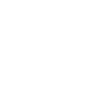 local author icon
